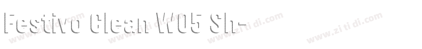 Festivo Clean W05 Sh字体转换 Festivo Clean W05 Sh字体转换